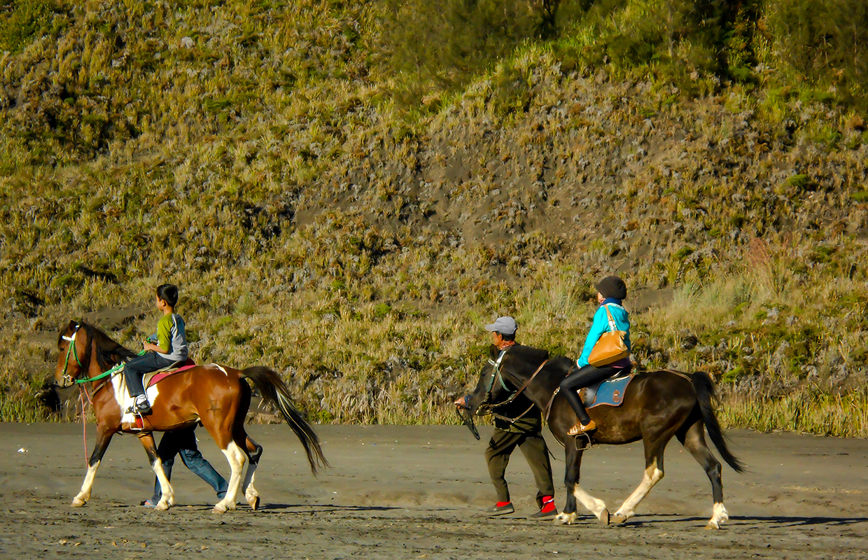 Horse Riding