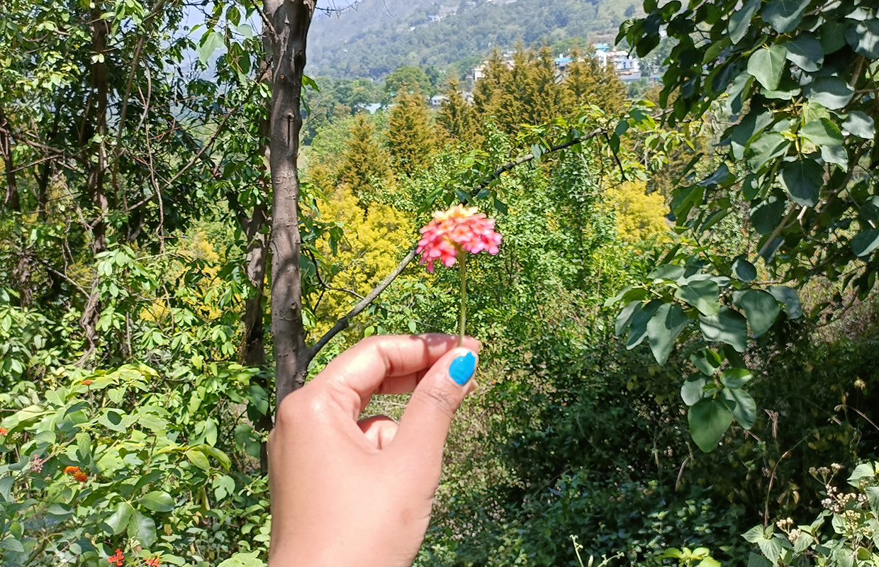 trekking in Bhimtal