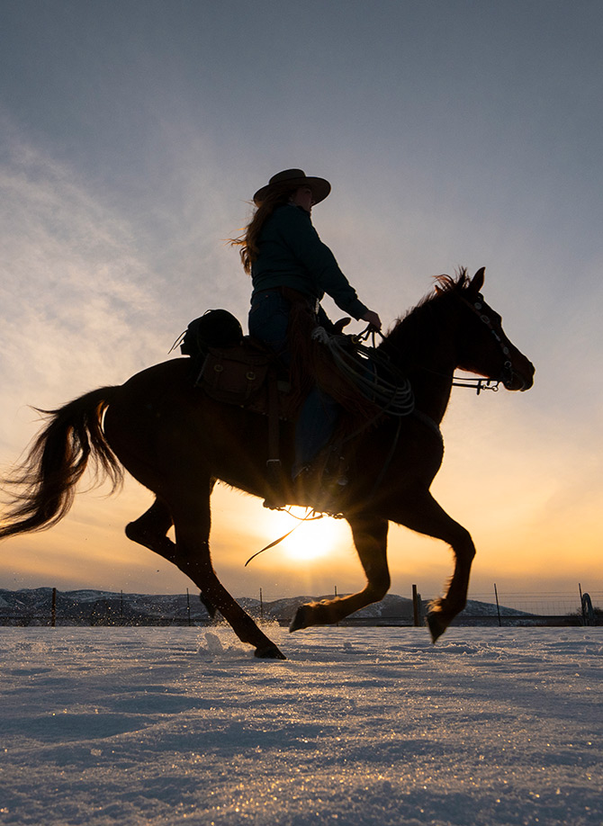 Horse Riding